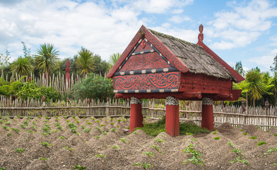 Fototapeta na wymiar Te Parapara the traditional Maori garden in Hamilton gardens an iconic garden in Hamilton, New Zealand.