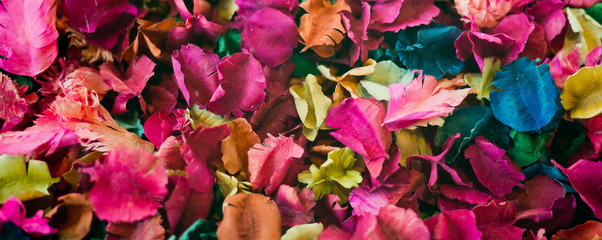 dry flower background, color background