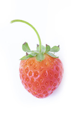 single Strawberry isolated on a white background