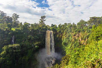 Fototapeta na wymiar Landscape with a waterfall surrounded by wild forest. Thompson Waterfall. Kenya, Africa