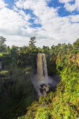 Fototapeta na wymiar Landscape with a waterfall in the green. Thompson Waterfall. Kenya, Africa