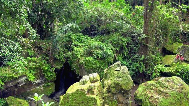 Pan: Boulders To The Tall Trees Of Sunny Bali