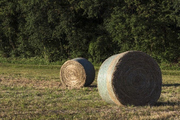 Balles de foin