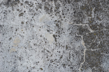 old gray cement wall texture background