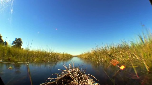 Fisheye: Long Okavango Delta Canal, Botswana