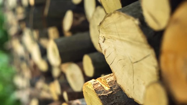 The heat of wood depends on the type of wood