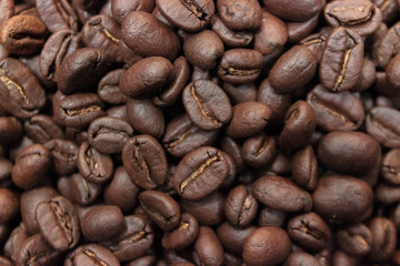 close-up on cofee beans