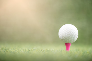 golf ball  on green grass