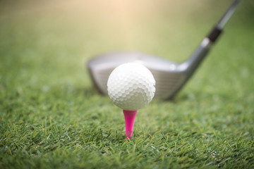golf ball  on green grass