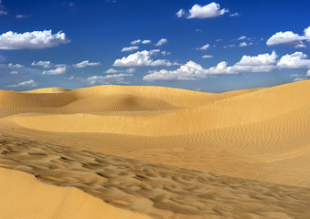 Fototapeta na wymiar Sunset in the Sahara. Depending on the position of the light, sand dunes change color. 