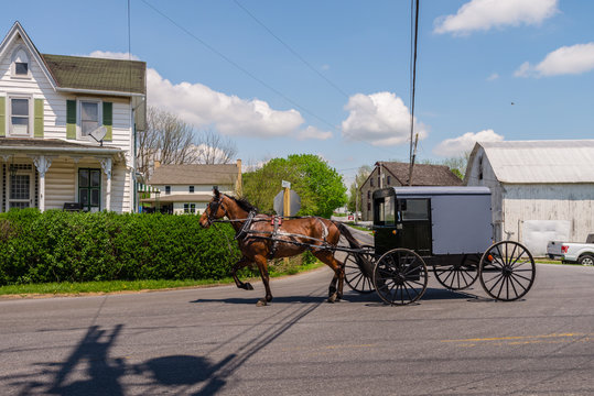 Horse And Carriage In Amish Country