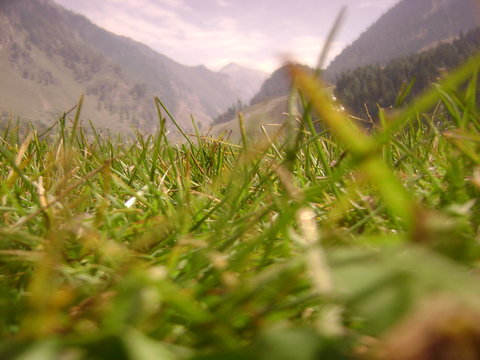 KASHMIR- BETAAB VALLEY