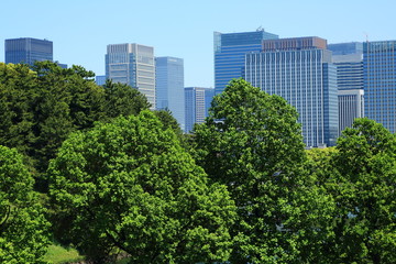 新緑の木々と高層ビル群