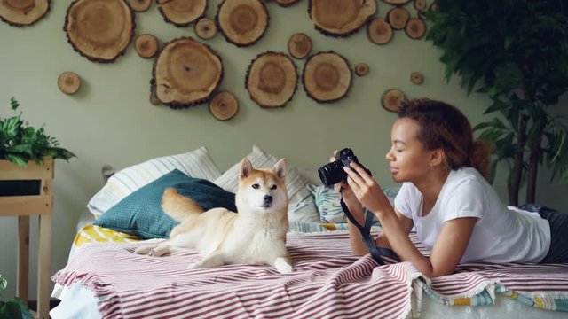 Proud dog owner is taking pictures of her pedigree dog using professional camera lying on bed at home. Beautiful furniture, cute animal and green plants are visible.