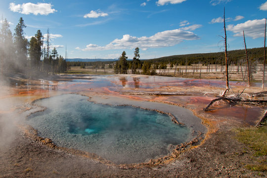 Steam rising off Firehole Spring on Firehole Lake Drive in Yellowstone National Park in Wyoming United States