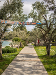 Path near the beach, olive trees, sign with arrow saying: Adventure