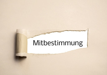 Papier Mitbestimmung