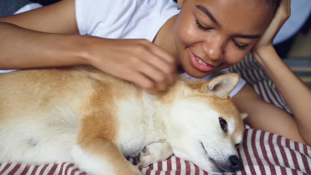 Close-up shot of loving dog owner caressing lovely pet lying on bed together, girl is stroking animal and scratching its fur expressing love and tenderness.
