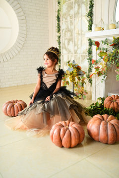 Beautiful little girl in black evening gawn sits on the pampkins in a studio