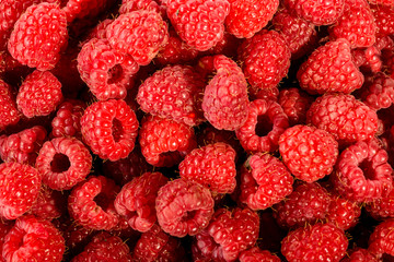 Many raspberries on background (raspberry)