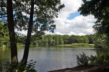 am jungfernheidesee