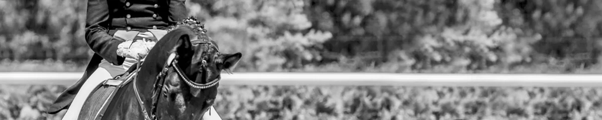 Fototapete Reiten Dressage horse and rider. Black and white horse portrait during equestrian sport competition. Advanced dressage test. Copy space for your text. Horizontal photo banner for website header design.