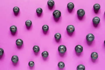 Fresh blueberries on a bright purple background. Summer background