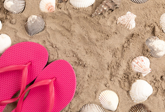 shellfisch and pink flipflops in sand