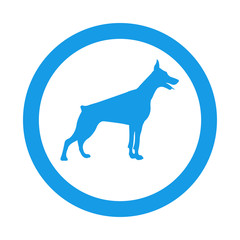 Icono plano silueta perro Doberman en circulo azul