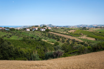 Fototapeta na wymiar veduta panomaica della campagna verde piena di alberi controguerra italia abruzzo 