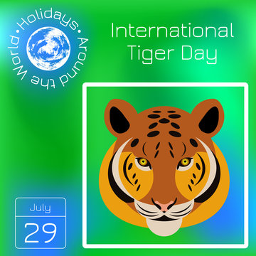 International Tiger Day. July 29. Wild mammal is an animal. Cartoon style. Series calendar. Holidays Around the World. Event of each day of the year.
