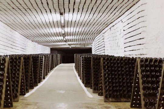 Wine bottles in the cellar