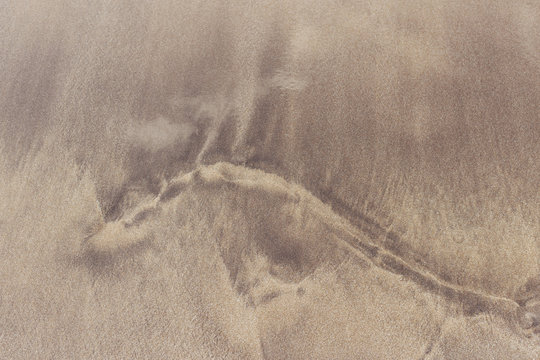 Wet sand background