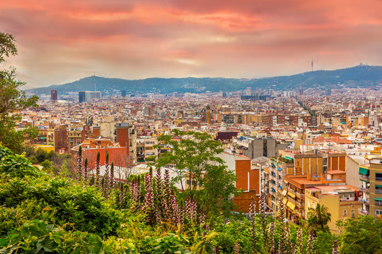 Sunset over the city of Barcelona. Beautiful panoramic view.