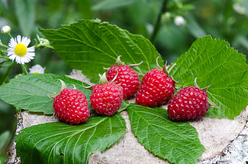 The red has reached tasty