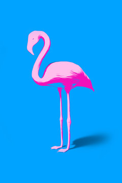 pink flamingo on turquoise background