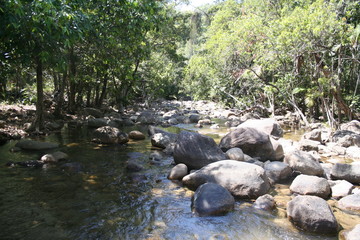 finch hatton gorge, araluen falls, queensland, australia