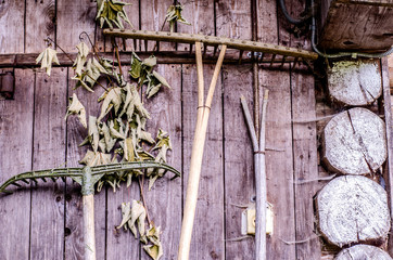 Wooden wall of rural hut with agricultural tools.