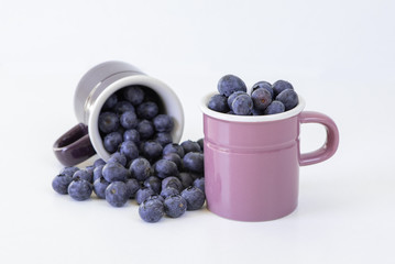 Heidelbeeren / Blaubeeren
