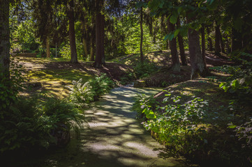  A small quiet city park. Green landscape. Blooming channel. View of Glehn's Cemetery in evening sunlight. Tallinn, Estonia.