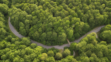 Aerial view of a small and narrow road passing through the forest trees. It is nobody. The street has a curve in the middle.