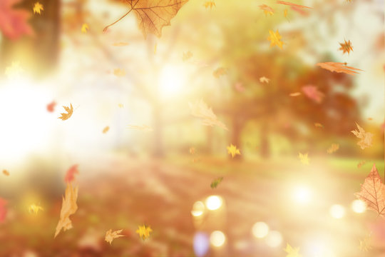 Hintergrund Stimmung Herbst