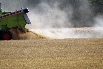 Harvest in autumn