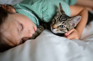 Fototapeta na wymiar Female child sleeping with her cat
