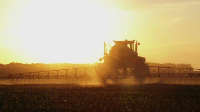 Tractor spraying chemicals in a field at sunset. Fertilizer application in the field of corn at sunset of the day.
