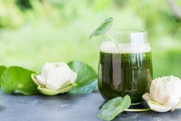 Blended green pennywort , asiatic juice with green background.