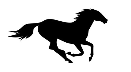Fototapeta na wymiar vector illustration of running horse.