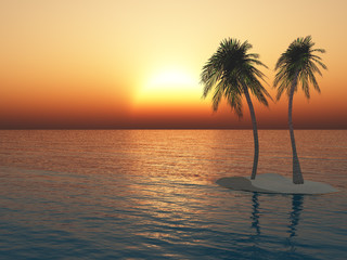 palms on the island against the sunset