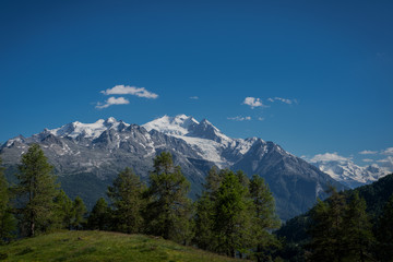 Fototapeta premium Ried Gletscher in Mitten das Wallis Natur pur auf der Alpe