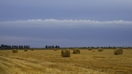 Fototapeta premium landscape with clouds